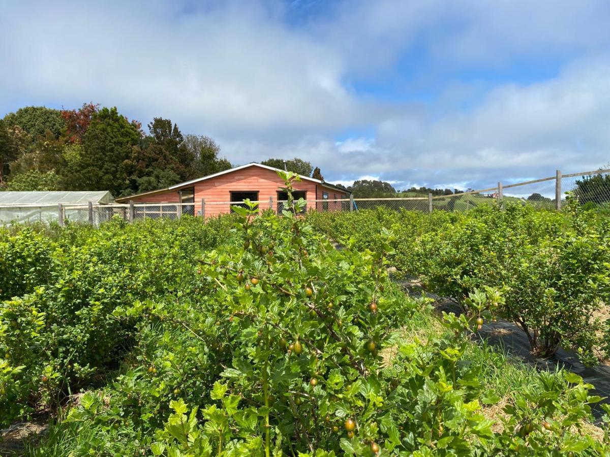 Cabana Nueva En Ancud Chiloe Zewnętrze zdjęcie