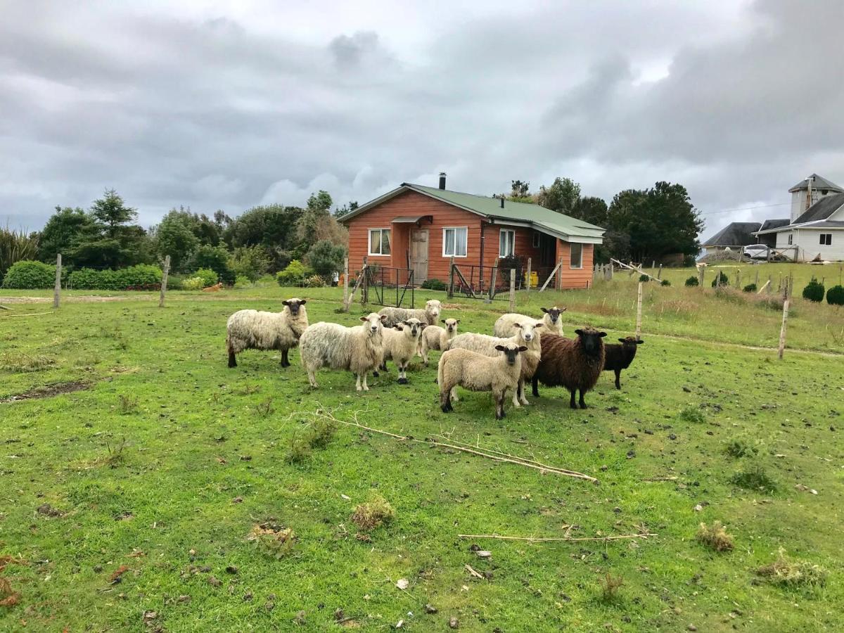 Cabana Nueva En Ancud Chiloe Zewnętrze zdjęcie